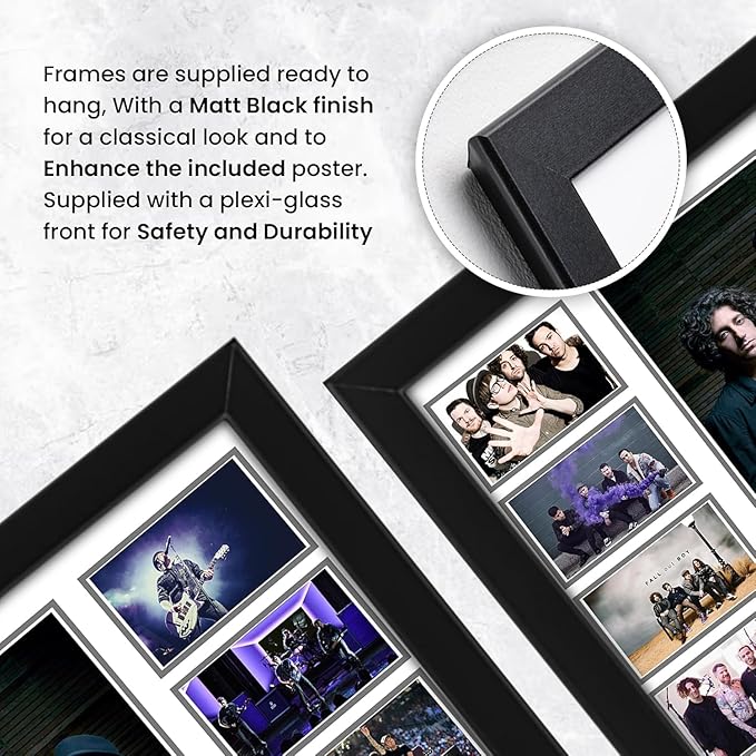 AllStarMedia Fall Out Boy Limited Edition Autograph Print, Signed Fan Merchandise